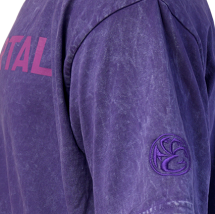 EM_Logo_UbePurpleSleeve.png